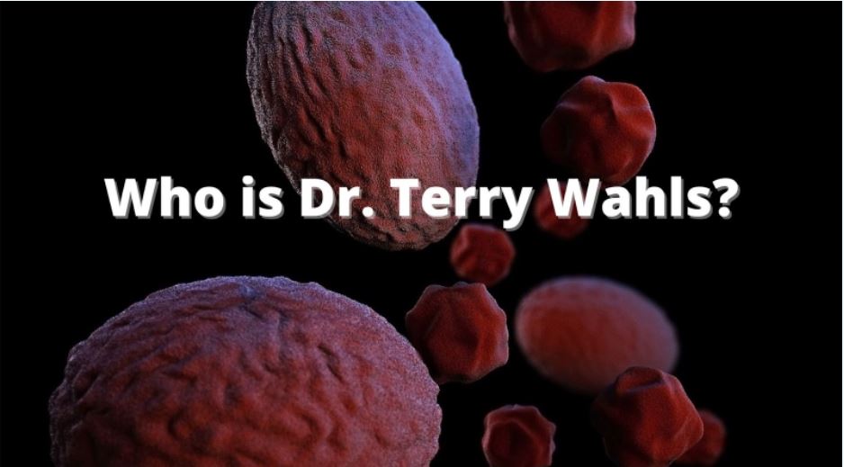 Who is Dr. Terry Wahls?