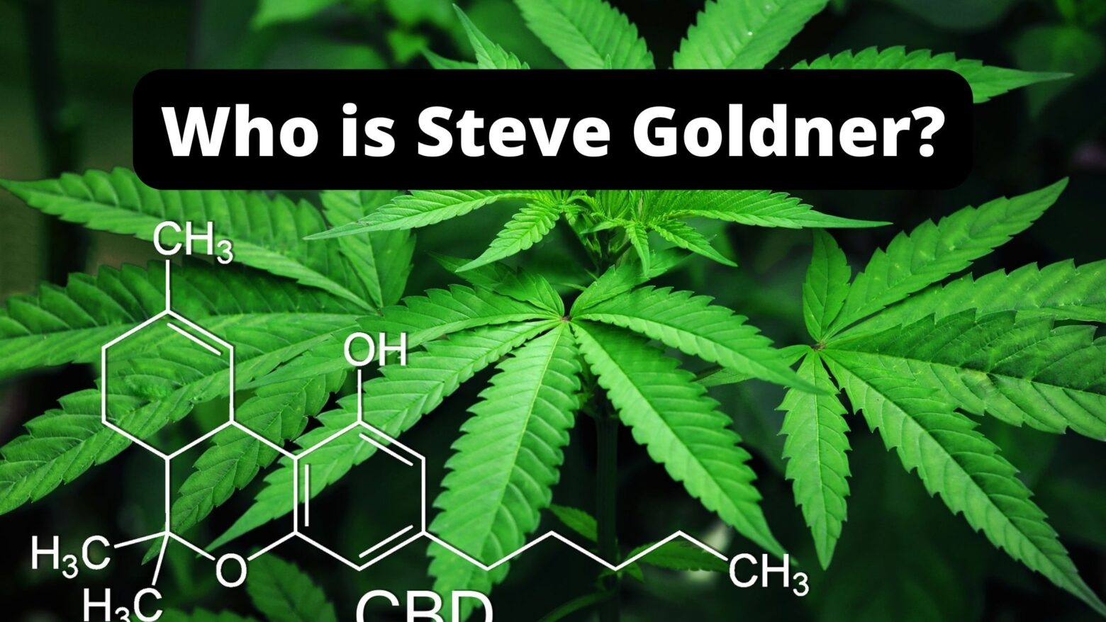 Who is Steve Goldner?