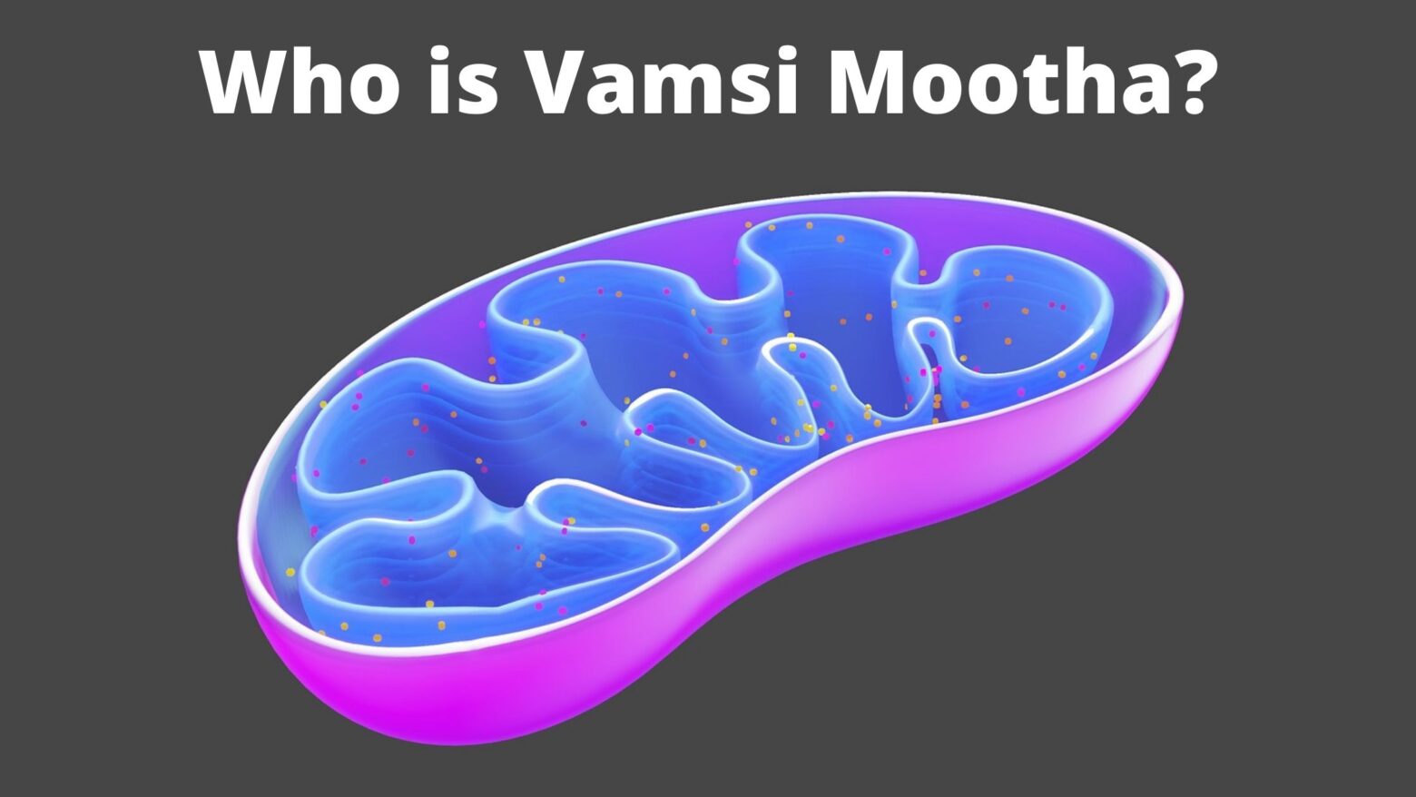 Who is Vamsi Mootha?