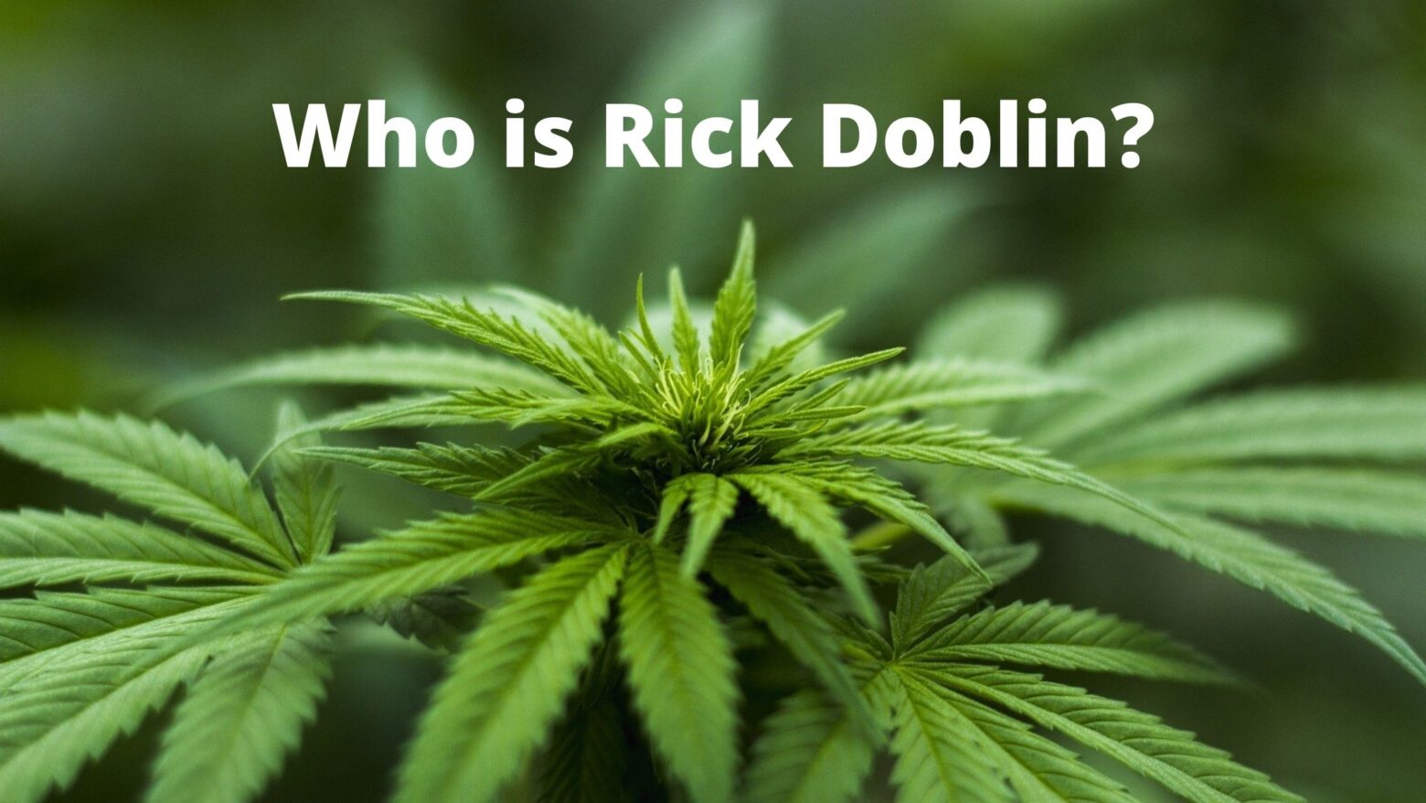 Who is Rick Doblin?
