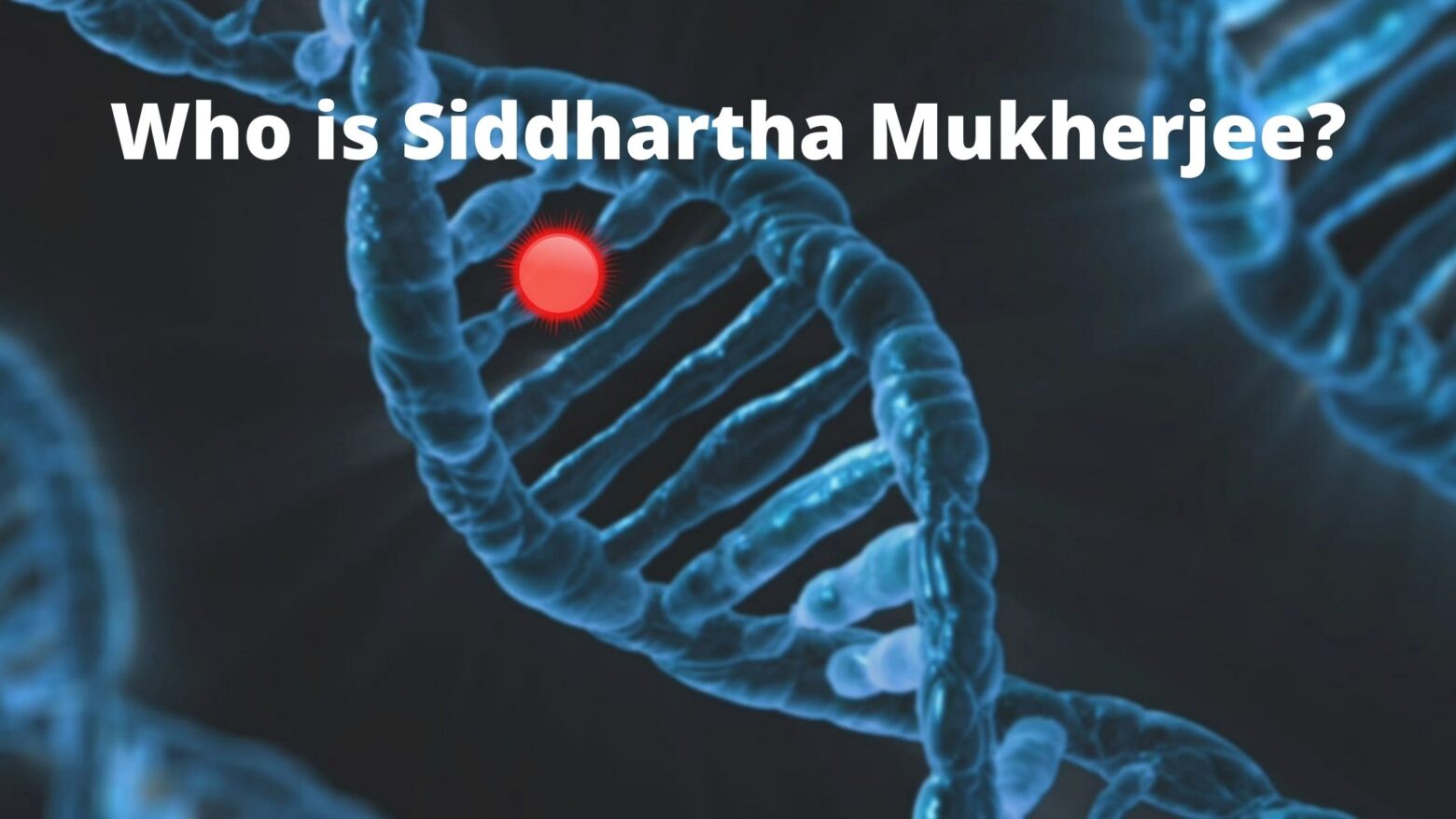 Who is Siddhartha Mukherjee?